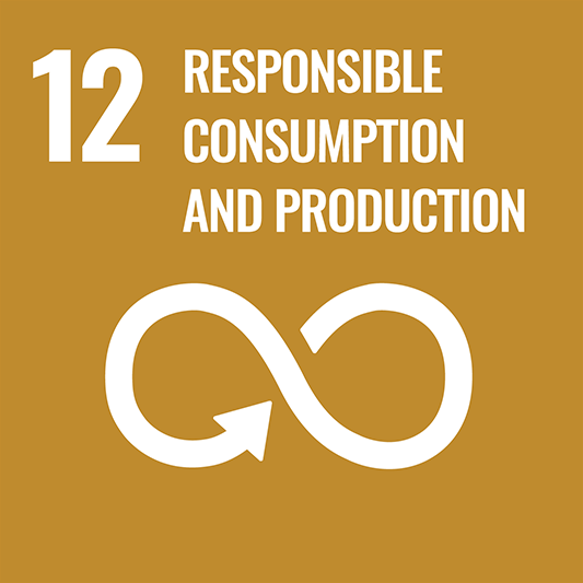 12 RESPONSIBLE CUNSUMPTION AND PRODUCTION